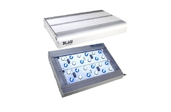 Blau Lumina LED 62-1