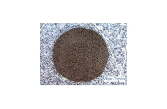 Placa Ceramica Round 8cm para Plantar Musgos