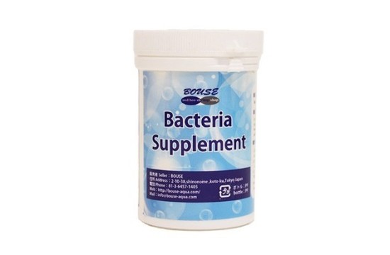 Bouse Supplement Bacteria 