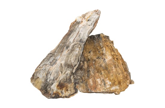 Roca Fosil 1kg