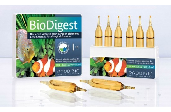Prodibio BioDigest