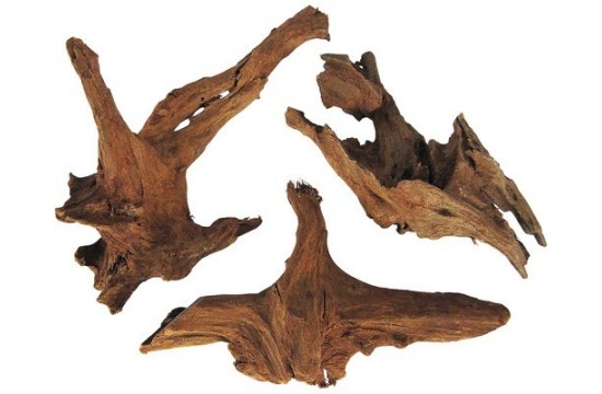 Tronco natural Manglar 30-40cm