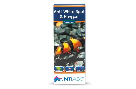 NTLabs Anti White Spot & Fungus 100ml