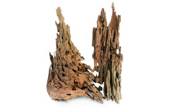 Dragon Wood 20-40cm