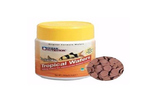 Ocean Nutrition Tropical Wafers (75 gr)