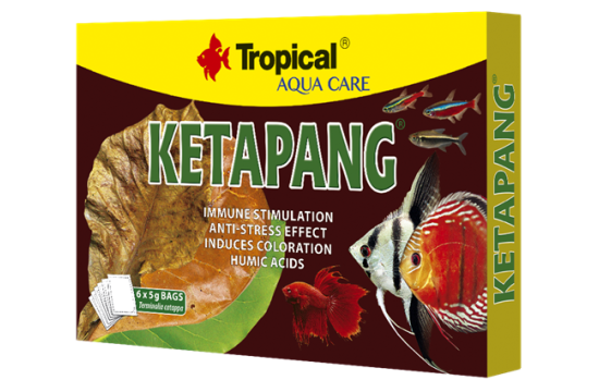 Tropical Ketapang 6 sacos de 5g