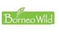 Borneo Wild